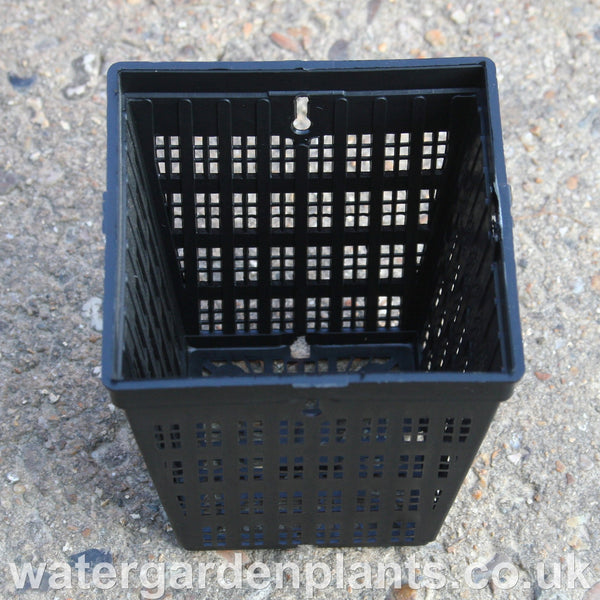 Mini Square Fine Mesh Plant Basket (9cm x 10cm, ½ litre)